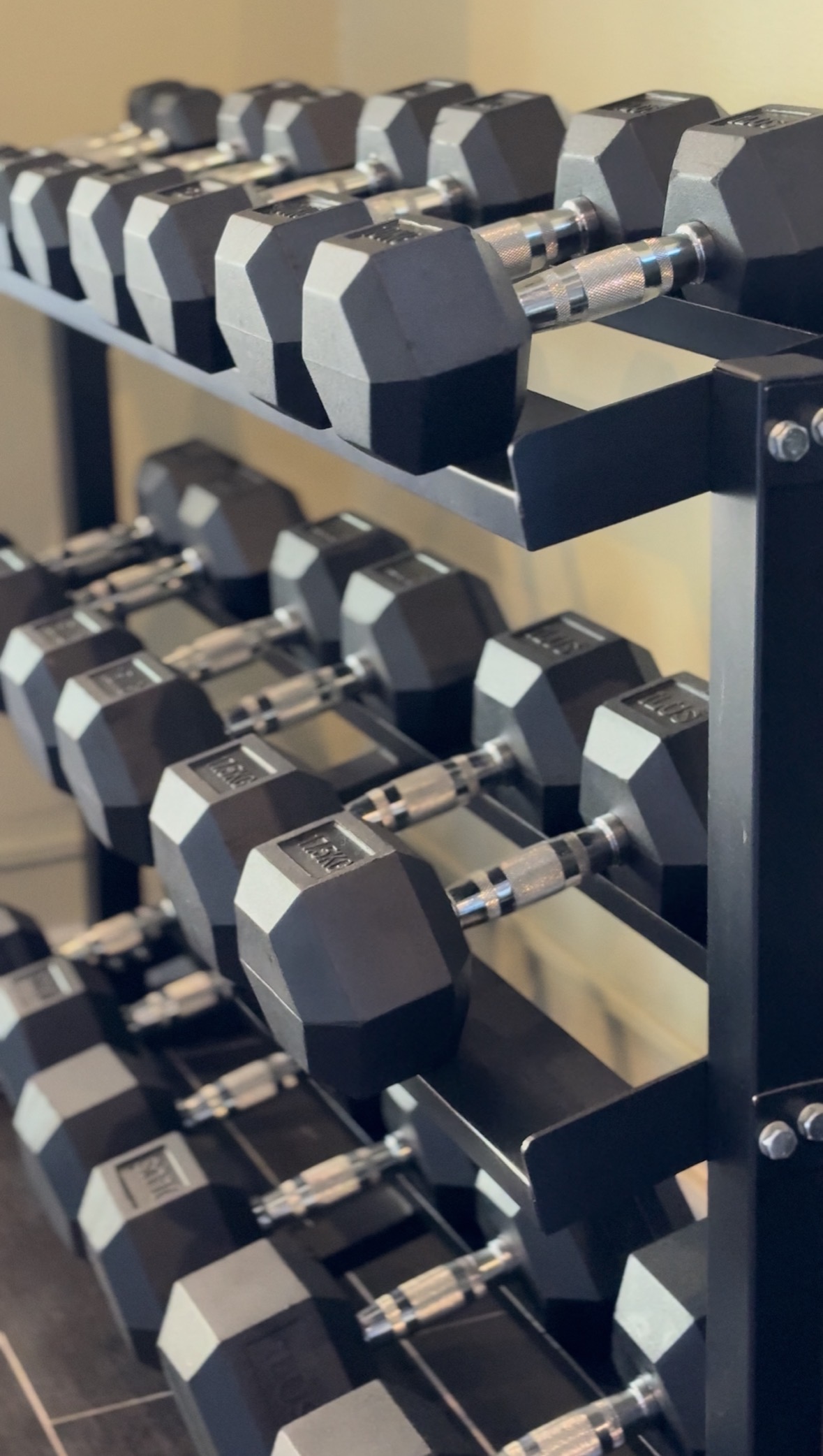 Zona de entrenamiento
